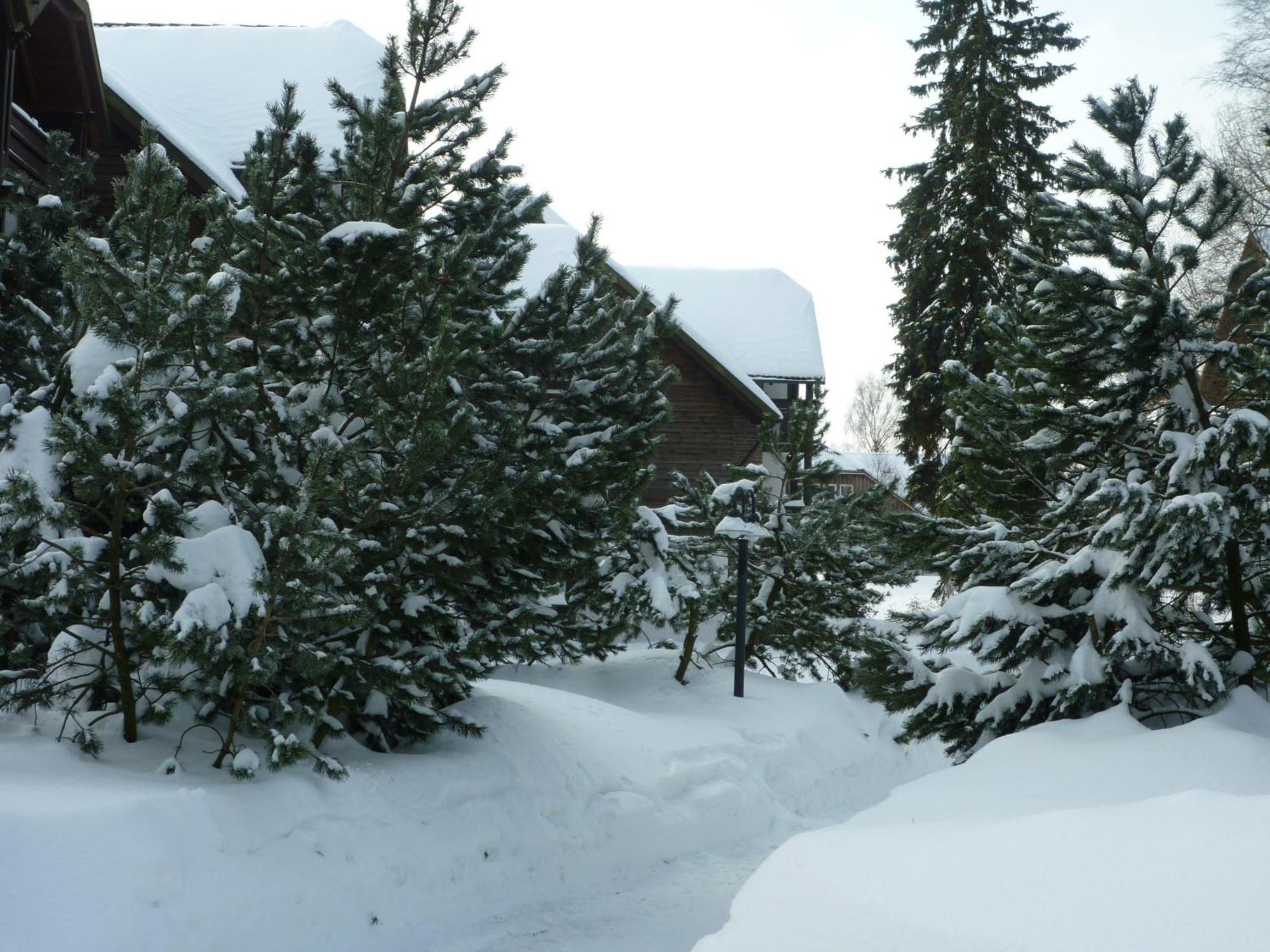 Hapimag Ferienwohnungen Braunlage Extérieur photo